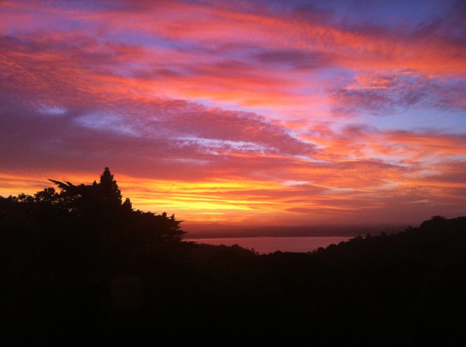 View from our lounge in New Zealand